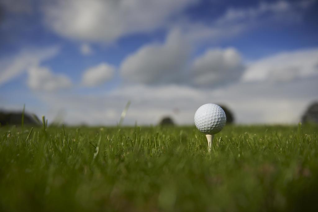 Chateau Du Bois-Guy Golf Parigne Екстер'єр фото